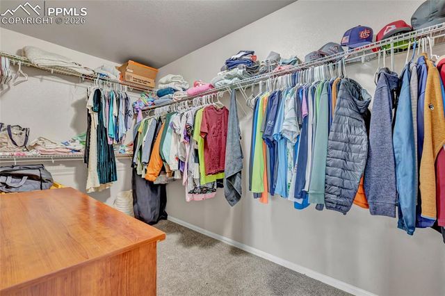 3091 Shikra View, Colorado Springs, CO 80916