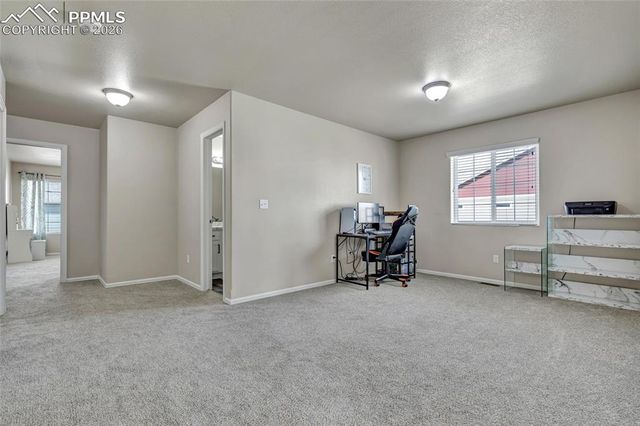 3091 Shikra View, Colorado Springs, CO 80916