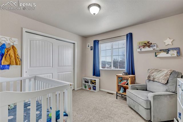 3091 Shikra View, Colorado Springs, CO 80916