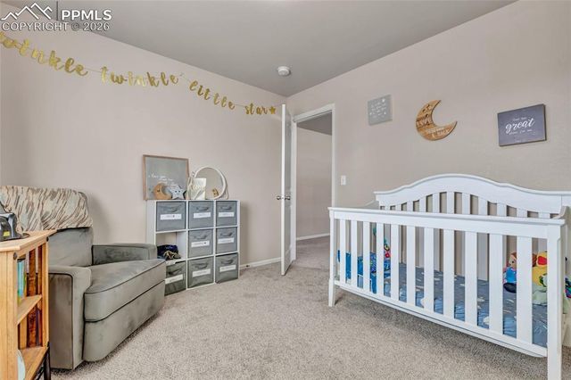 3091 Shikra View, Colorado Springs, CO 80916