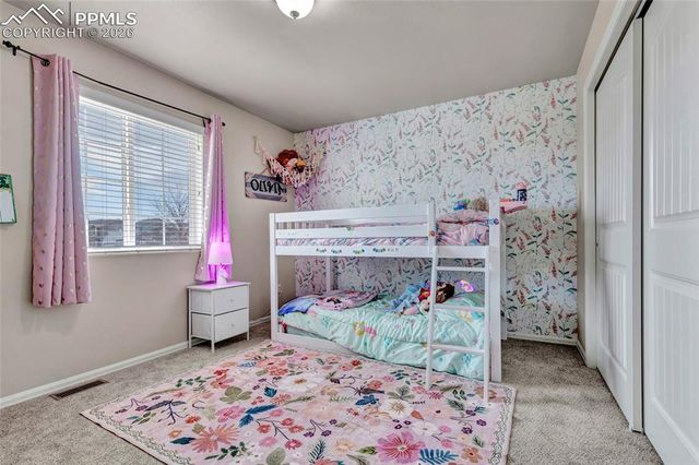 3091 Shikra View, Colorado Springs, CO 80916