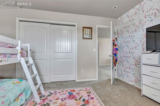 3091 Shikra View, Colorado Springs, CO 80916