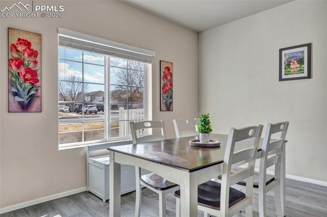 3091 Shikra View, Colorado Springs, CO 80916