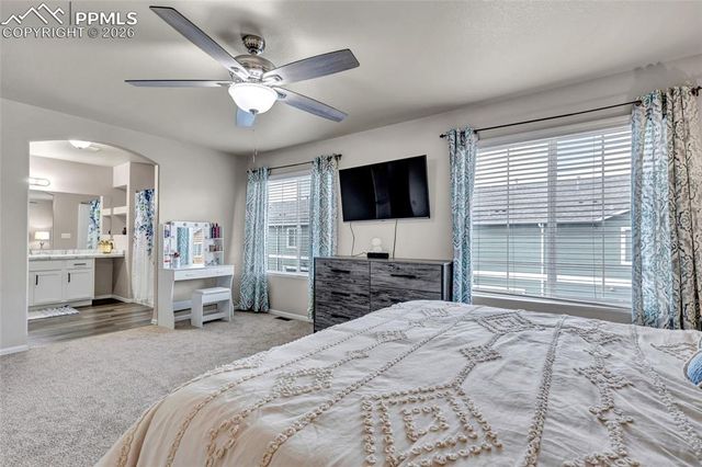 3091 Shikra View, Colorado Springs, CO 80916