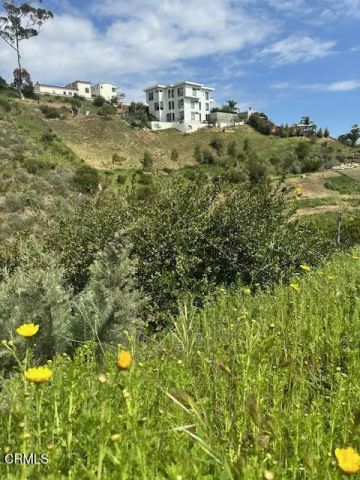 310 N Kalorama Street, Ventura, CA 93001
