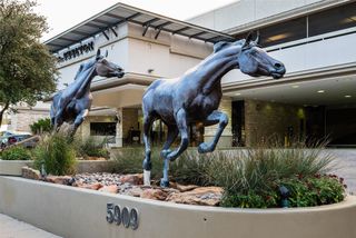 5909 Luther Lane 1106, Dallas, TX 75225