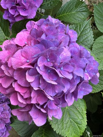 734 King Street, Chappaqua, NY 10514