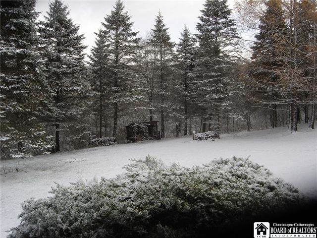 3773 Haskell Valley View Road, Clarksville, NY 14786