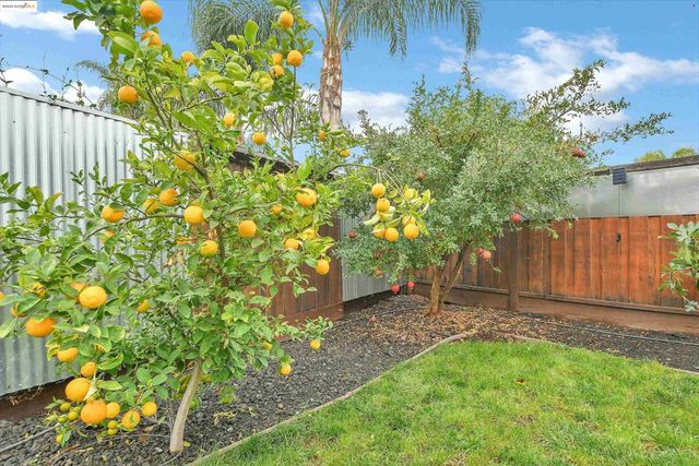 621 Avington Ct, Brentwood, CA 94513