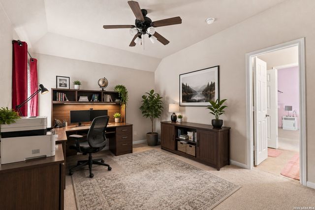 830 Tiger Lily, San Antonio, TX 78260