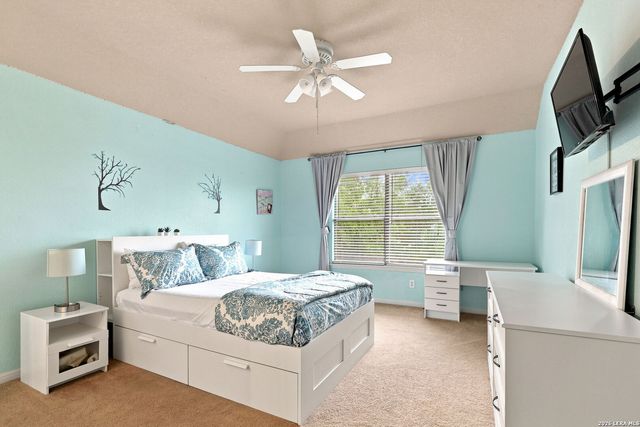 830 Tiger Lily, San Antonio, TX 78260