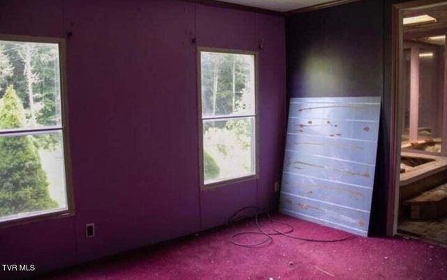 765 Crabtree Hollow Hollow, Clintwood, VA 24228