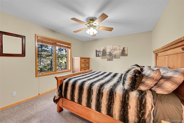 502 County Road 1034, Bailey, CO 80421