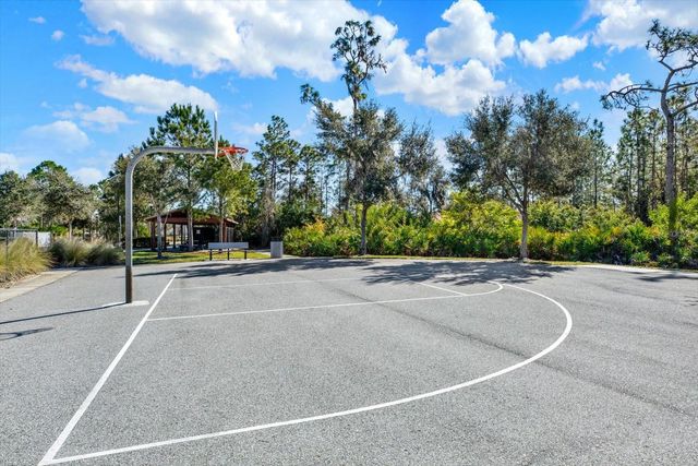11934 CROSS VINE DRIVE, Riverview, FL 33579