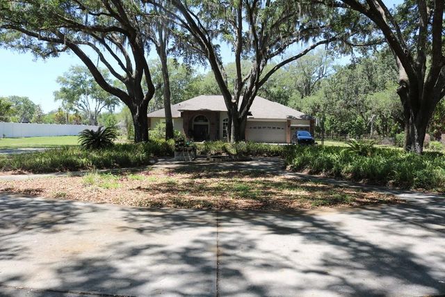 19150 LIVINGSTON AVENUE, Lutz, FL 33559