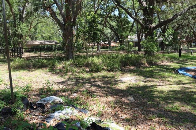 19150 LIVINGSTON AVENUE, Lutz, FL 33559