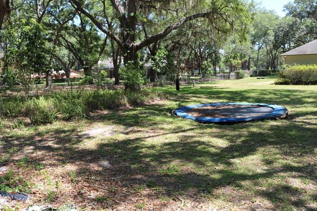 19150 LIVINGSTON AVENUE, Lutz, FL 33559