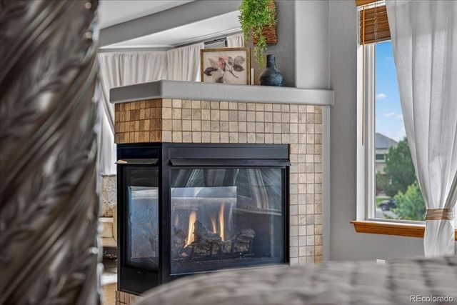 7414 Halite Court, Castle Rock, CO 80108