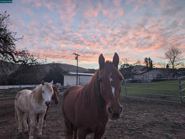 9530 Morgan Territory Rd, Livermore, CA 94551