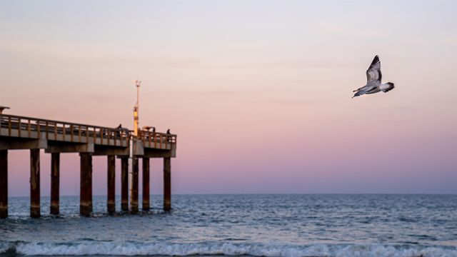 203 E St C, St Augustine, FL 32080