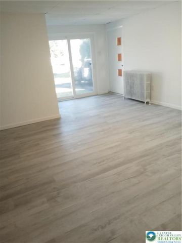 161 Reber Street, Franklin Twp, PA 18235