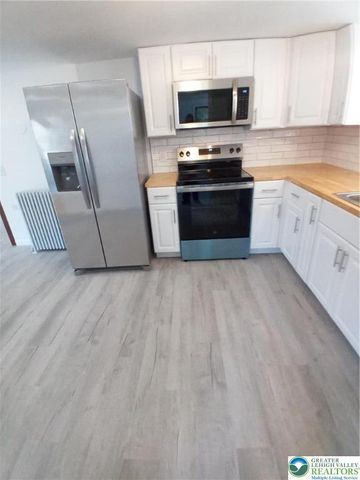 161 Reber Street, Franklin Twp, PA 18235