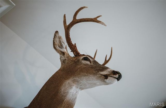 246 West Wind Drive, Wappapello, MO 63966