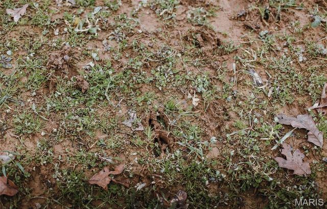 246 West Wind Drive, Wappapello, MO 63966