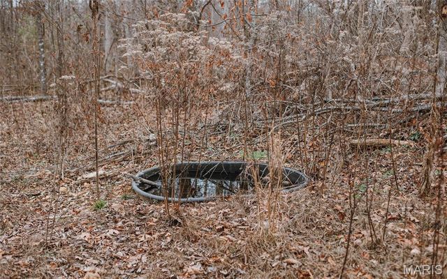 246 West Wind Drive, Wappapello, MO 63966