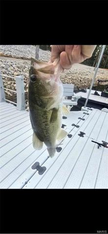 246 West Wind Drive, Wappapello, MO 63966