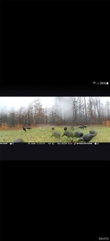 246 West Wind Drive, Wappapello, MO 63966