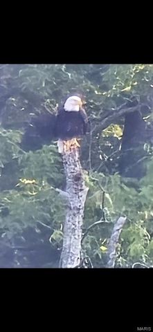 246 West Wind Drive, Wappapello, MO 63966