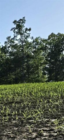 246 West Wind Drive, Wappapello, MO 63966