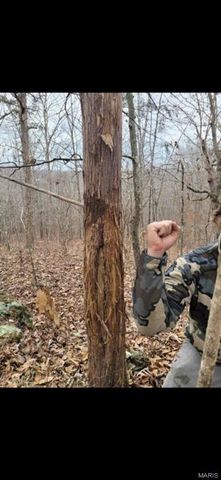 246 West Wind Drive, Wappapello, MO 63966