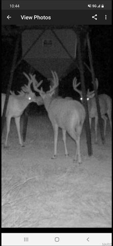 246 West Wind Drive, Wappapello, MO 63966