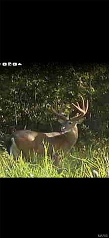 246 West Wind Drive, Wappapello, MO 63966