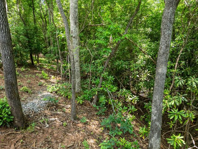 297 Summitt Lane, Murphy, NC 28906