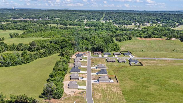 111 Nebo Heights Way, Dardanelle, AR 72834