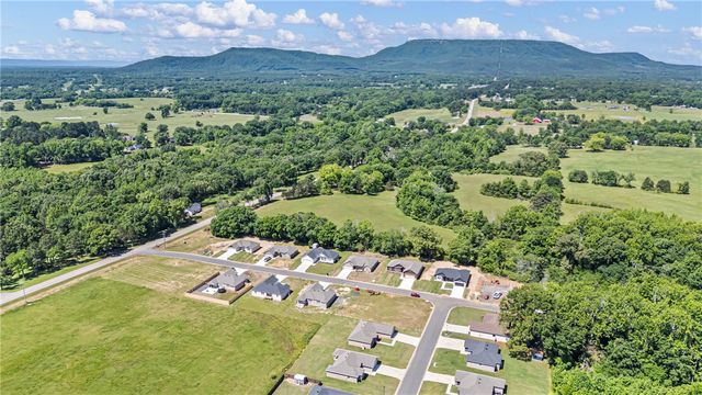 111 Nebo Heights Way, Dardanelle, AR 72834
