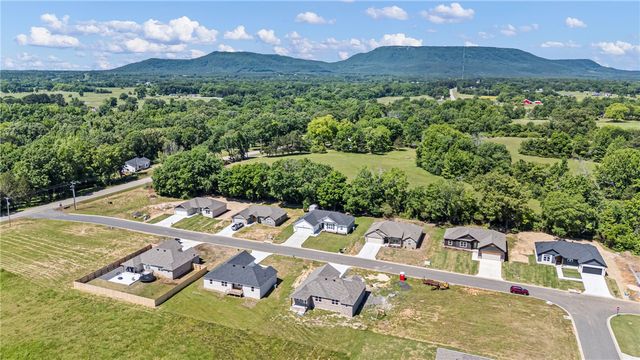 111 Nebo Heights Way, Dardanelle, AR 72834