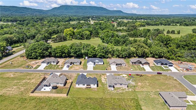 111 Nebo Heights Way, Dardanelle, AR 72834