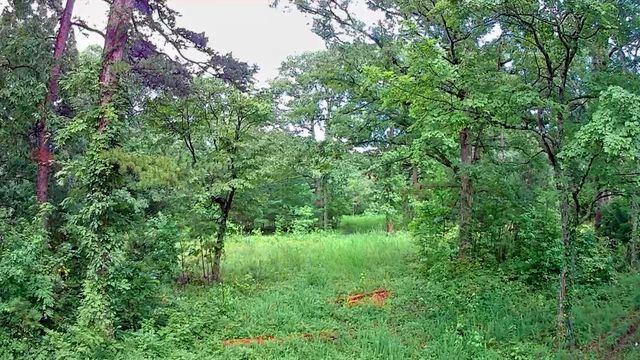 381 Patton School Road 01, South Pittsburg, TN 37380