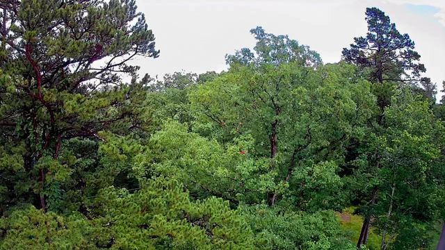 381 Patton School Road 01, South Pittsburg, TN 37380