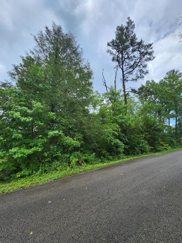 381 Patton School Road 01, South Pittsburg, TN 37380