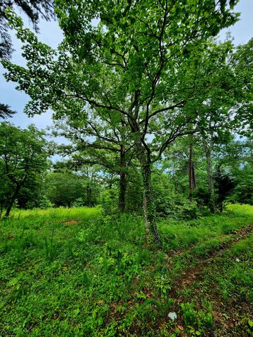 381 Patton School Road 01, South Pittsburg, TN 37380