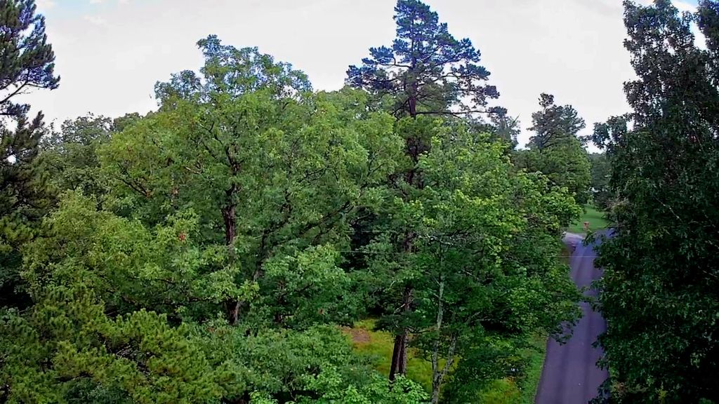 381 Patton School Road 01, South Pittsburg, TN 37380
