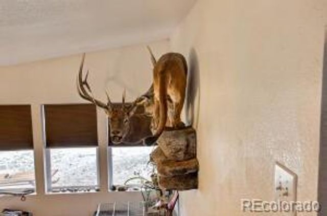 640 County Rd 571, Gardner, CO 81040