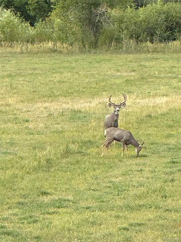 640 County Rd 571, Gardner, CO 81040