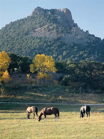 640 County Rd 571, Gardner, CO 81040