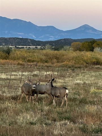 640 County Rd 571, Gardner, CO 81040